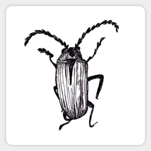 Crawlies Sticker